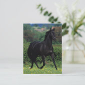 Grondige paarden op het veld Bloem Briefkaart (Staand voorkant)