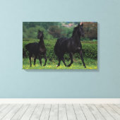 Grondige paarden op het veld Bloem Canvas Afdruk (Insitu (Houten vloer))