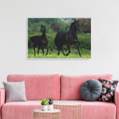 Grondige paarden op het veld Bloem Canvas Afdruk (Insitu (Woonkamer))