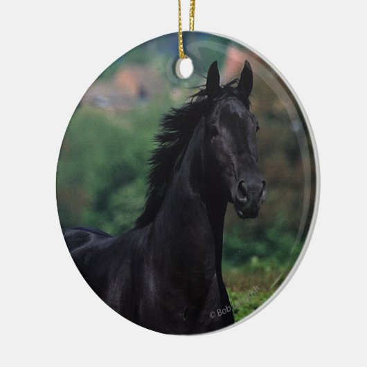 Grondige paarden op het veld Bloem Keramisch Ornament (Links)