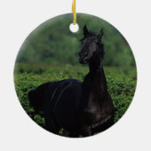 Grondige paarden op het veld Bloem Keramisch Ornament (Achterkant)