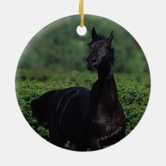 Grondige paarden op het veld Bloem Keramisch Ornament (Achterkant)