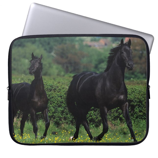 Grondige paarden op het veld Bloem Laptop Sleeve (Voorkant)