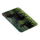 Grondige paarden op het veld Bloem Magneet (Rechterzijde)