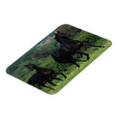 Grondige paarden op het veld Bloem Magneet (Linkerzijde)