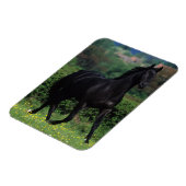 Grondige paarden op het veld Bloem Magneet (Linkerzijde)