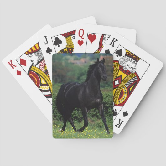 Grondige paarden op het veld Bloem Pokerkaarten (Achterkant)