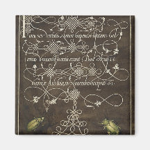 Grondkever en scarabee van Mira Calligraphiae