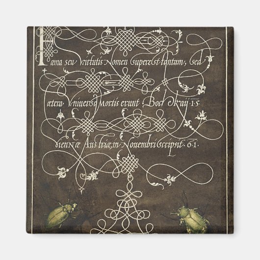 Grondkever en scarabee van Mira Calligraphiae Magneet (Voorkant)