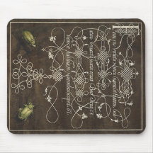 Grondkever en scarabee van Mira Calligraphiae