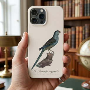 Grondpapegaai of Moerasparkiet, Pezoporus Wallicus Case-Mate iPhone Case