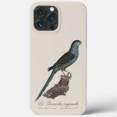 Grondpapegaai of Moerasparkiet, Pezoporus Wallicus Case-Mate iPhone Case (Achterkant)