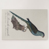 Grondpapegaai of Moerasparkiet, Pezoporus Wallicus Legpuzzel (Horizontaal)