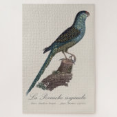 Grondpapegaai of Moerasparkiet, Pezoporus Wallicus Legpuzzel (Verticaal)