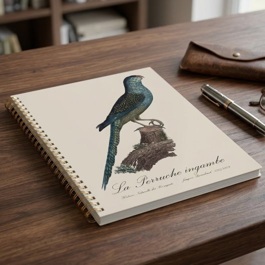 Grondpapegaai of Moerasparkiet, Pezoporus Wallicus Planner