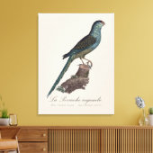 Grondparkiet of Moerasparkiet, Pezoporus Wallicus Canvas Afdruk (Insitu (Woonkamer))