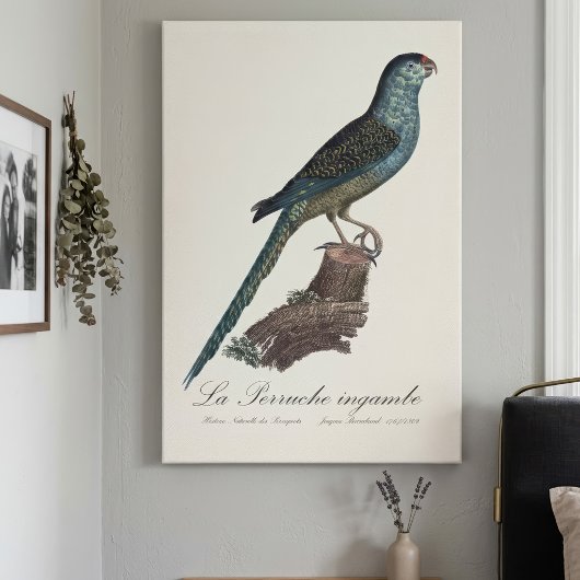 Grondparkiet of Moerasparkiet, Pezoporus Wallicus Canvas Afdruk