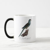 Grondparkiet of Moerasparkiet, Pezoporus Wallicus Magische Mok (Links)