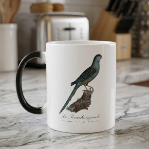 Grondparkiet of Moerasparkiet, Pezoporus Wallicus Magische Mok