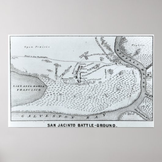 Grondplan van de slag in San Jacinto Poster (Voorkant)