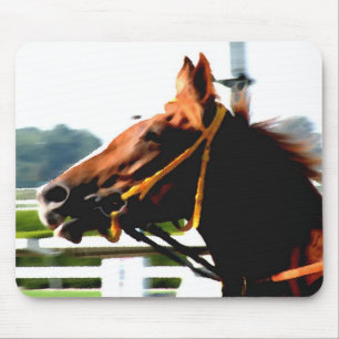 Grondrechte paardenmuis muismat