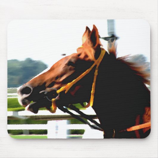 Grondrechte paardenmuis muismat (Voorkant)