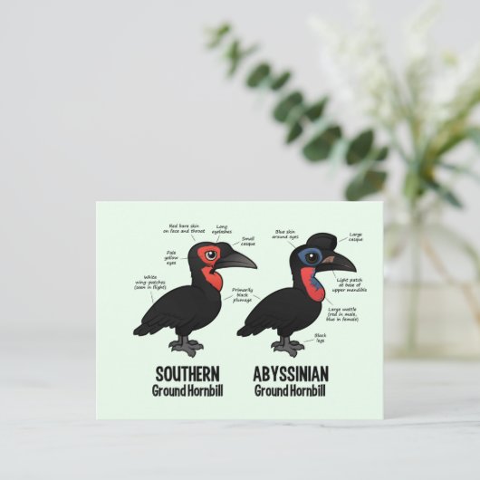 Grondstatistieken Briefkaart (Staand voorkant)