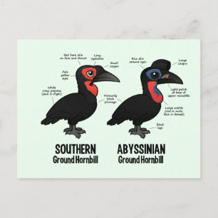 Grondstatistieken Briefkaart