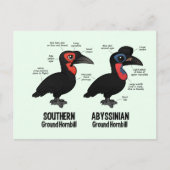 Grondstatistieken Briefkaart (Voorkant)