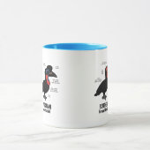 Grondstatistieken Mok (Midden)