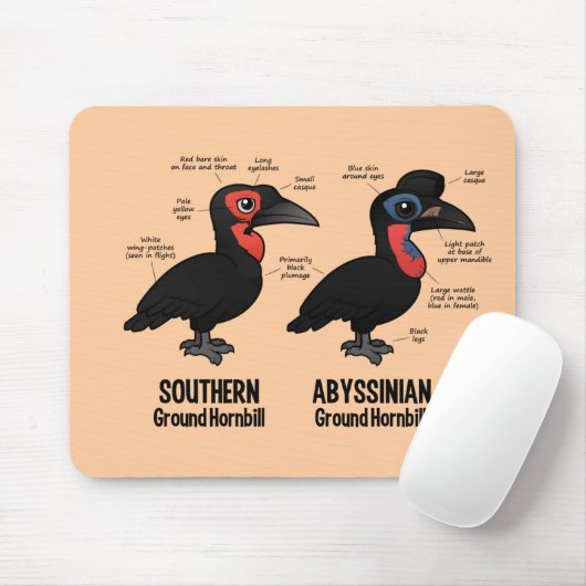 Grondstatistieken Muismat (Met muis)