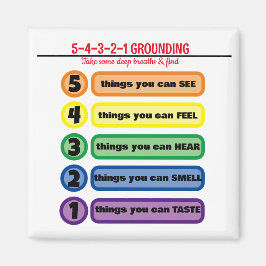 Grondtechniek voor angst/stress 5 zintuigen magneet