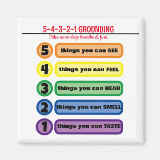 Grondtechniek voor angst/stress 5 zintuigen magneet