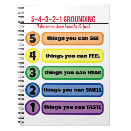 Grondtechniek voor angst/stress 5 zintuigen notitieboek