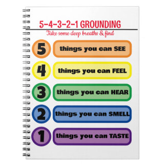 Grondtechniek voor angst/stress 5 zintuigen notitieboek