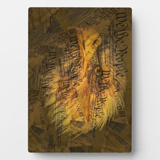 Grondwet American Bald Eagle Fotoplaat (voorkant)