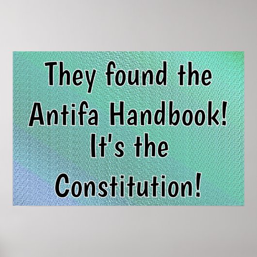 Grondwet Het Antifa Handboek Poster (Voorkant)