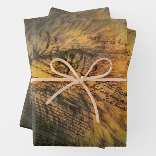 Grondwet met Bald Eagle Inpakpapier Vel (In situ)