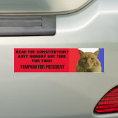 Grondwet? Niemand heeft daar tijd voor. Bumpersticker (Op auto)