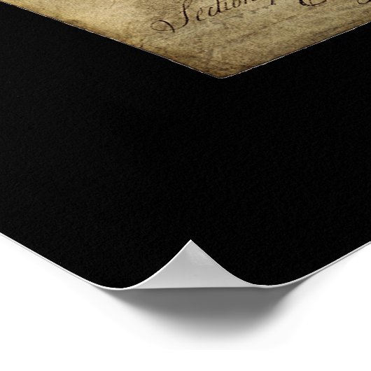 Grondwet Verenigde Staten Poster (Hoek)