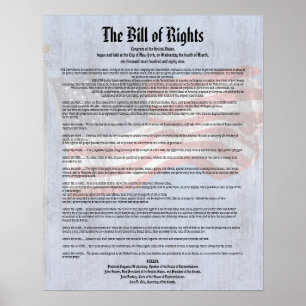 Grondwet VS Bill of Rights Geschiedenis Klaslokaal Poster