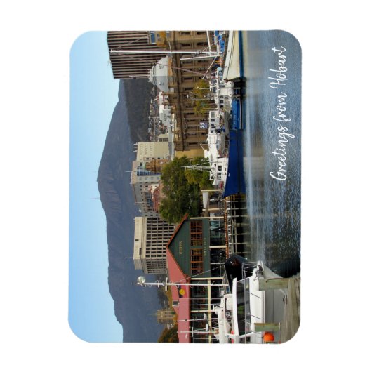 grondwetenschappen magneet (Verticaal)