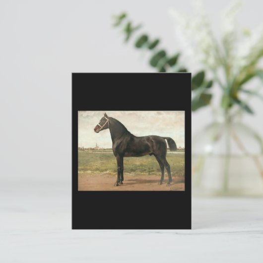 Groningen van Otto Eerelman Briefkaart (Staand voorkant)