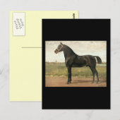 Groningen van Otto Eerelman Briefkaart (Voorkant / Achterkant)