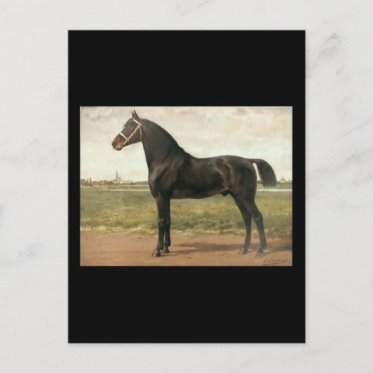 Groningen van Otto Eerelman Briefkaart (Voorkant)