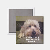 Groodle magneet (Voorkant / Achterkant)