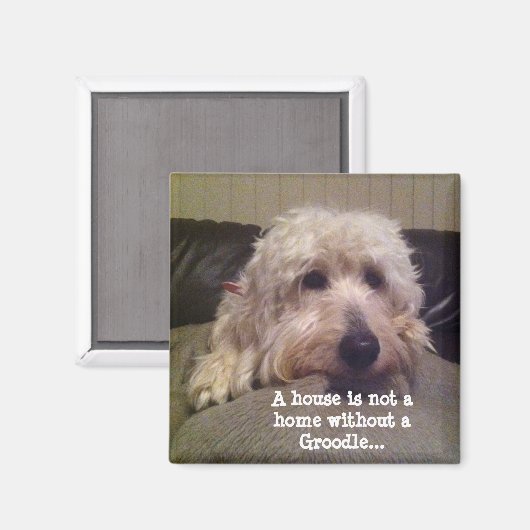 Groodle magneet (Voorkant / Achterkant)