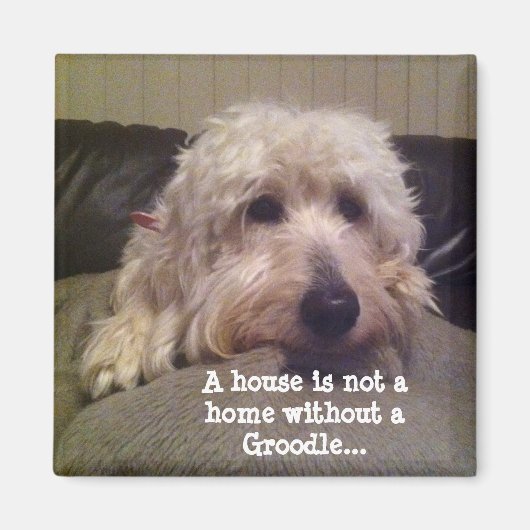 Groodle magneet (Voorkant)