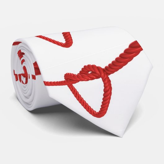 GROOM IS NAAR GROOMSMAN STROPDAS VOOR WEDDING (Opgerold)