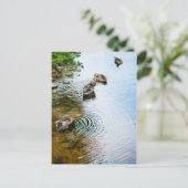 Groomend Eucks 2 Briefkaart (Staand voorkant)